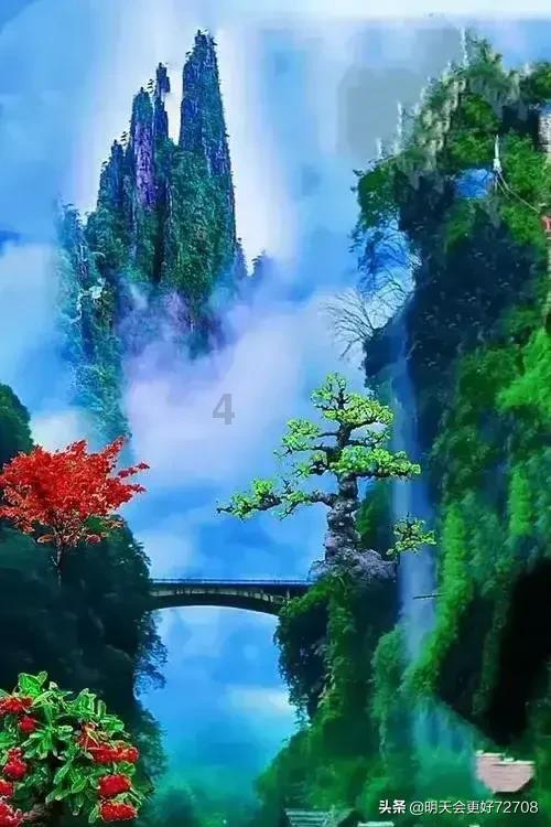 蓝狐视频