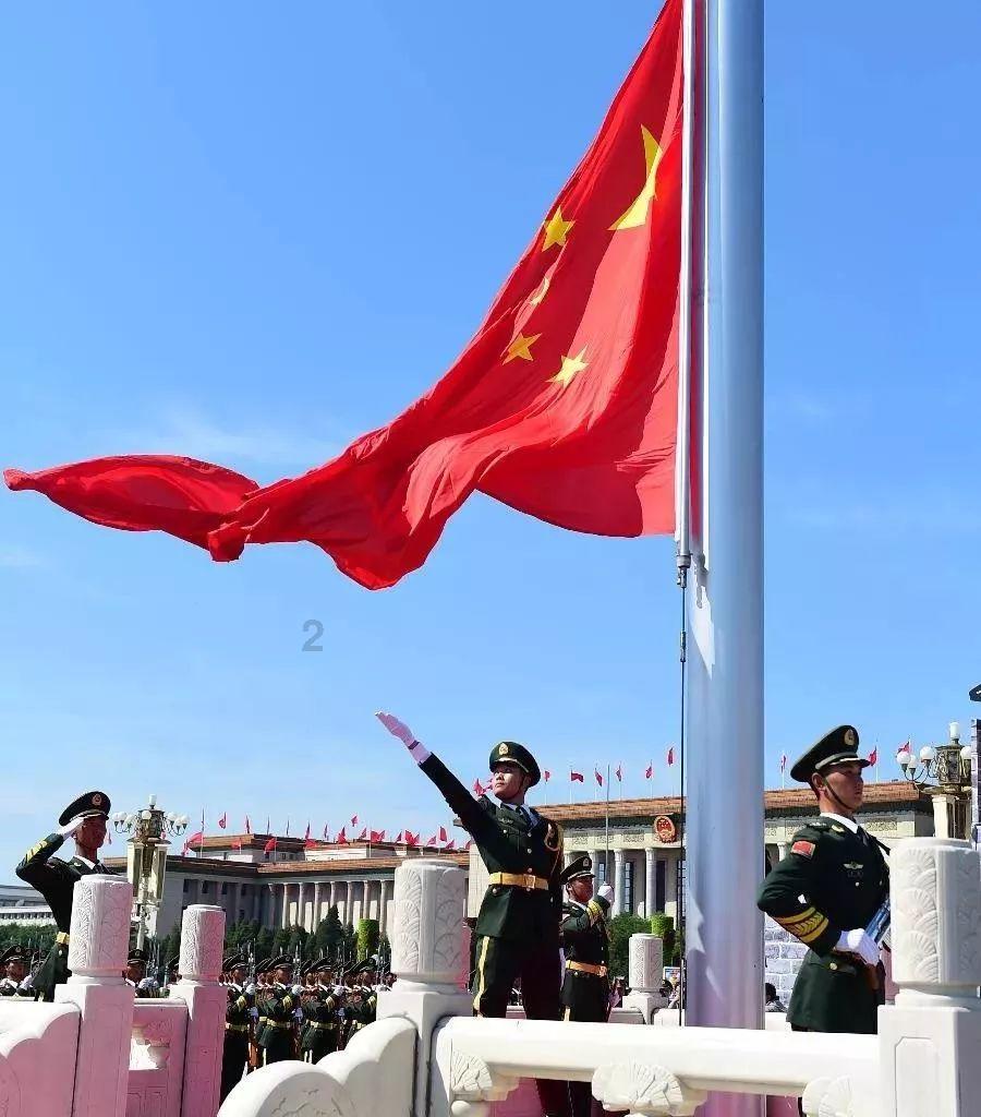 虫虫助手下载
