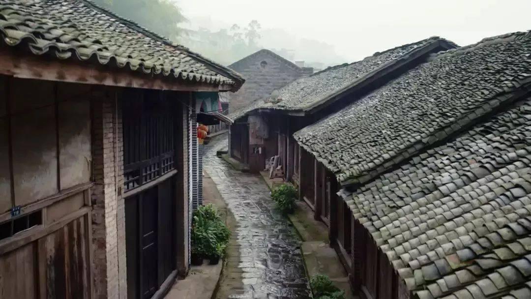 燃烧吧大脑装瓶子游戏